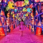 dubai theme park