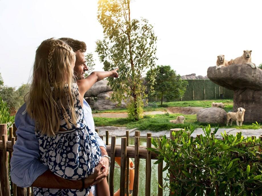 Dubai Safari Park Tickets | Things to do in the UAE | Tick Your List