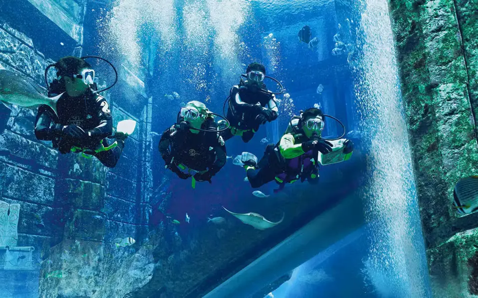 Scuba Dive