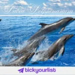Dubai Dolphinarium