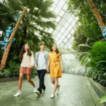 Gardens by the Bay