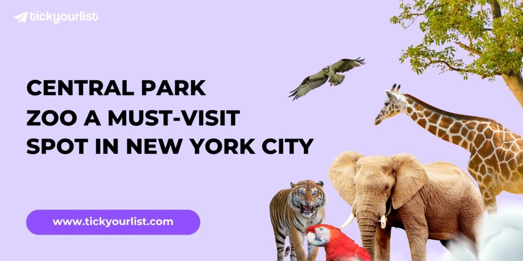 What Makes Central Park Zoo a Must-Visit Spot in New York City 