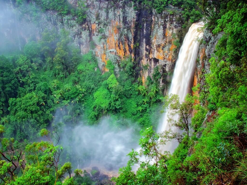 springbrook waterfalls