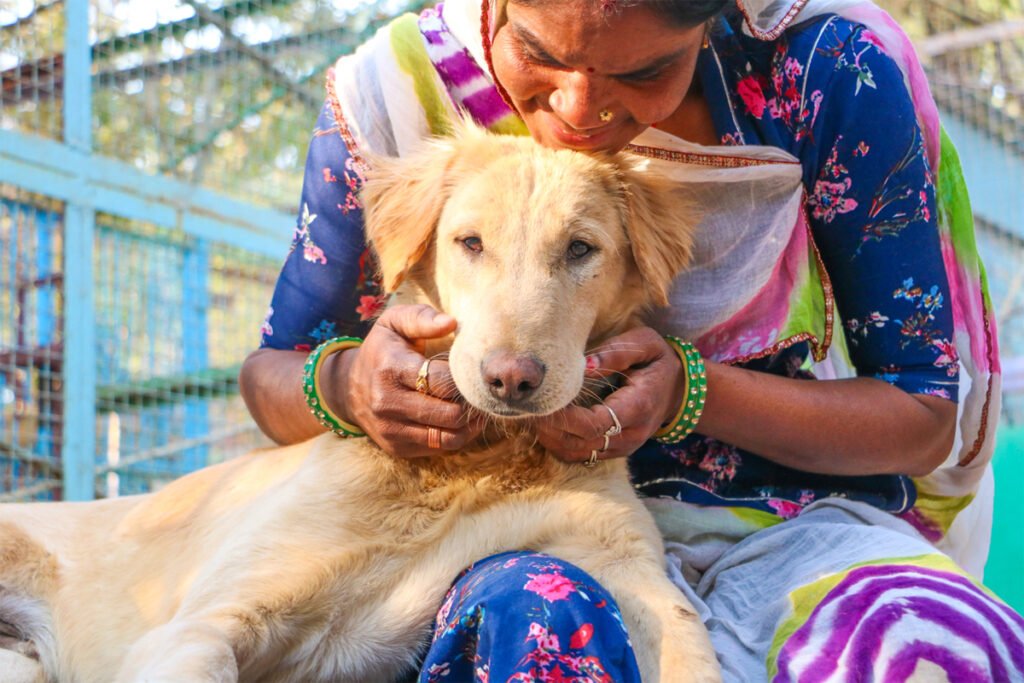 Animal Aid Unlimited