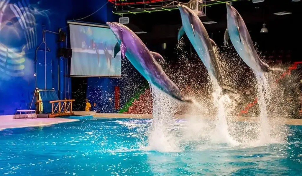 Dubai Dolphinarium