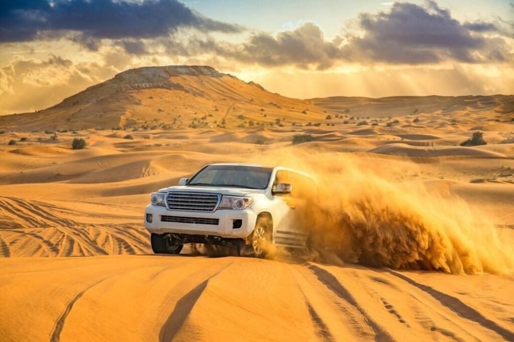 Evening Desert Safari