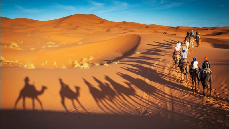 Safari dans le desert
